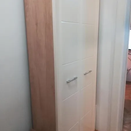 Ibis *